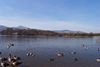 Derwentwater